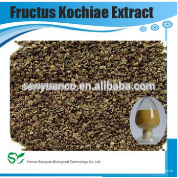 Fructus Kochiae Extract Powder